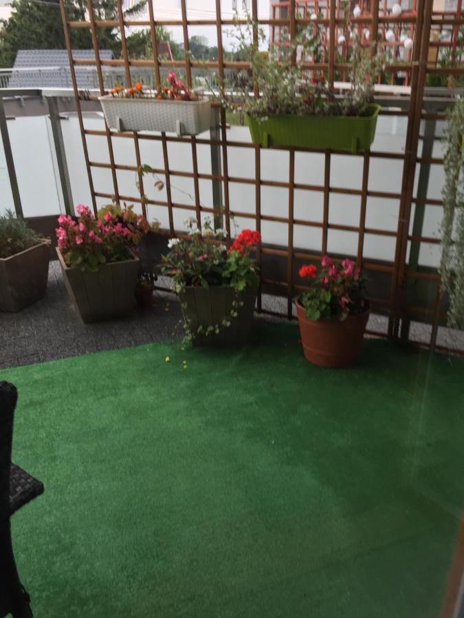 Zielone Studio 吉日茨科 外观 照片